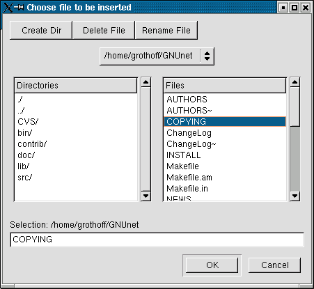 choose file to insert